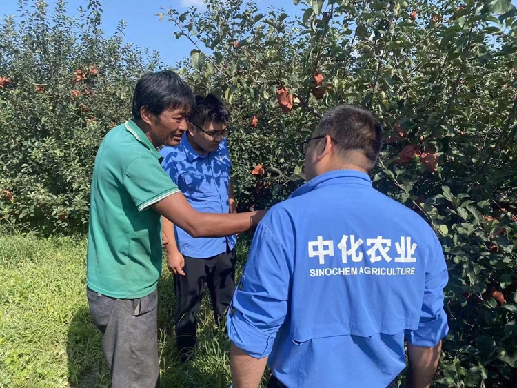 OEŷ��|�ٷ���վ