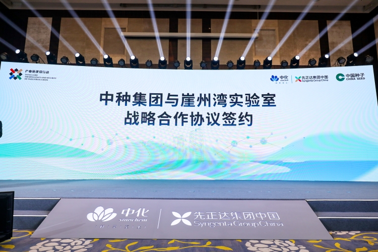 OEŷ��|�ٷ���վ