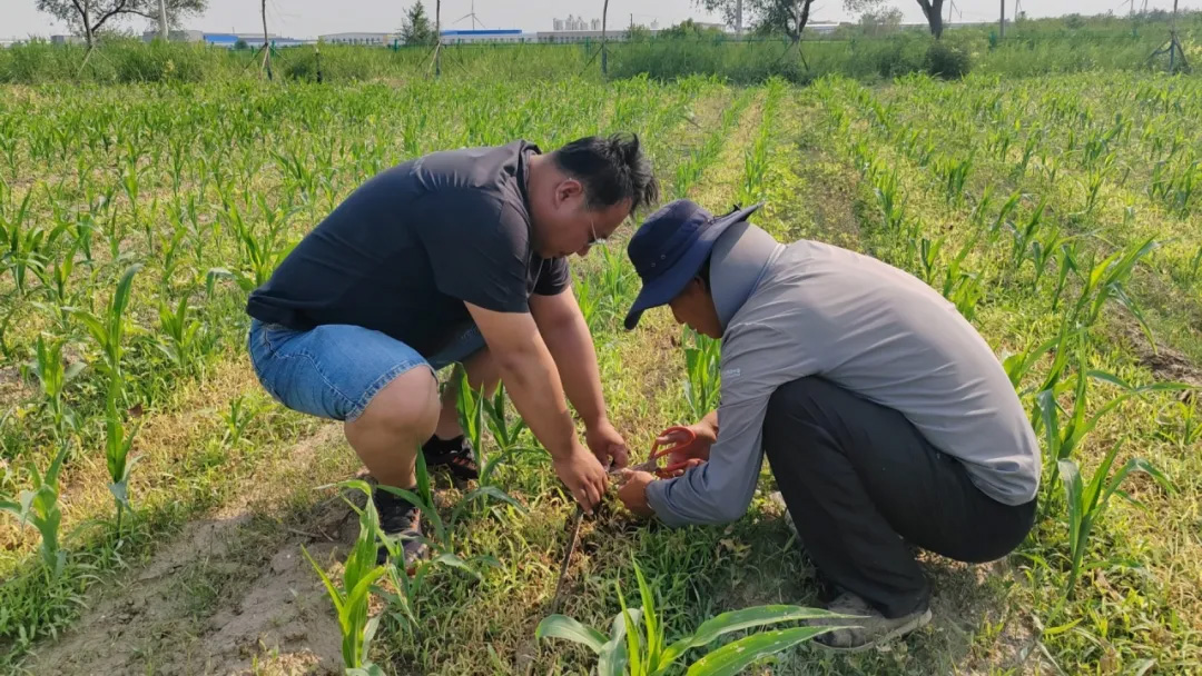 OEŷ��|�ٷ���վ