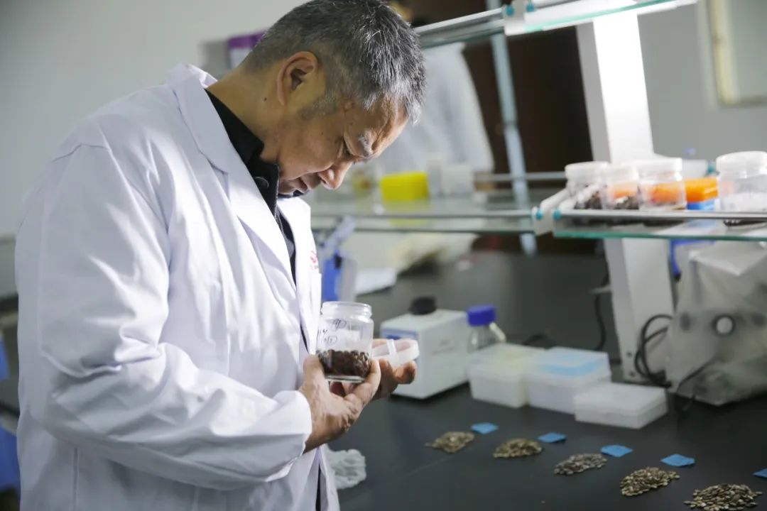 OEŷ��|�ٷ���վ