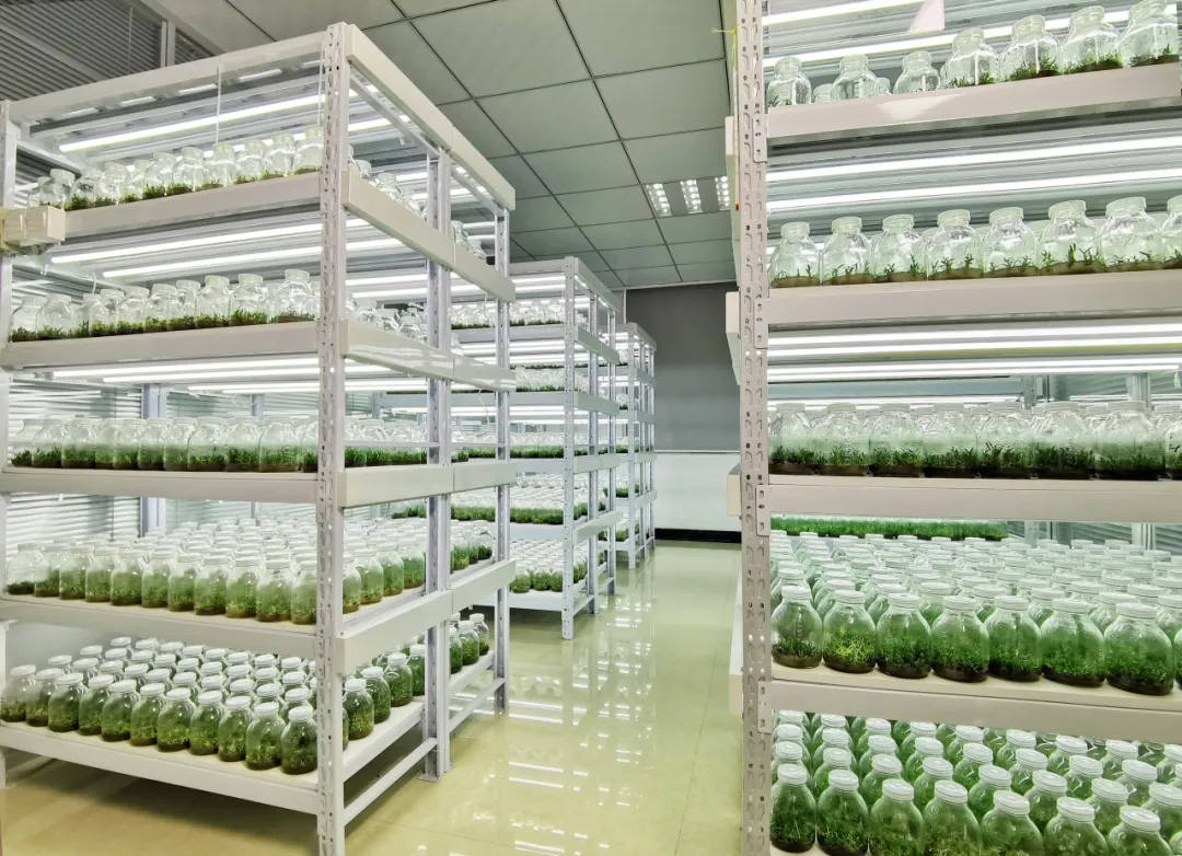 OEŷ��|�ٷ���վ