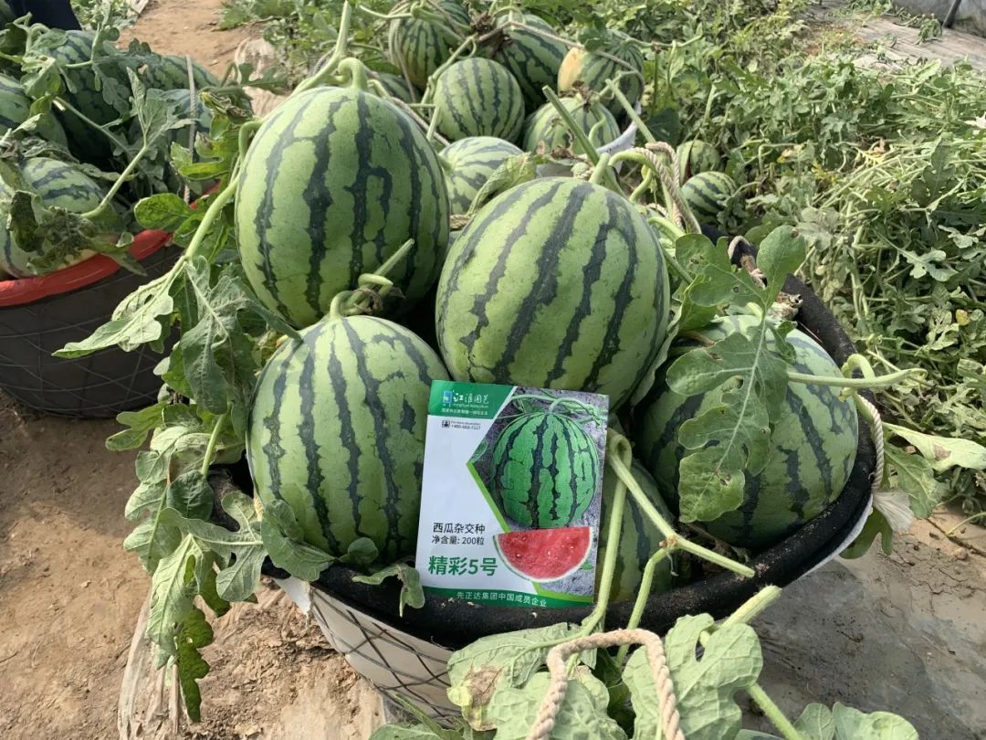 OEŷ��|�ٷ���վ