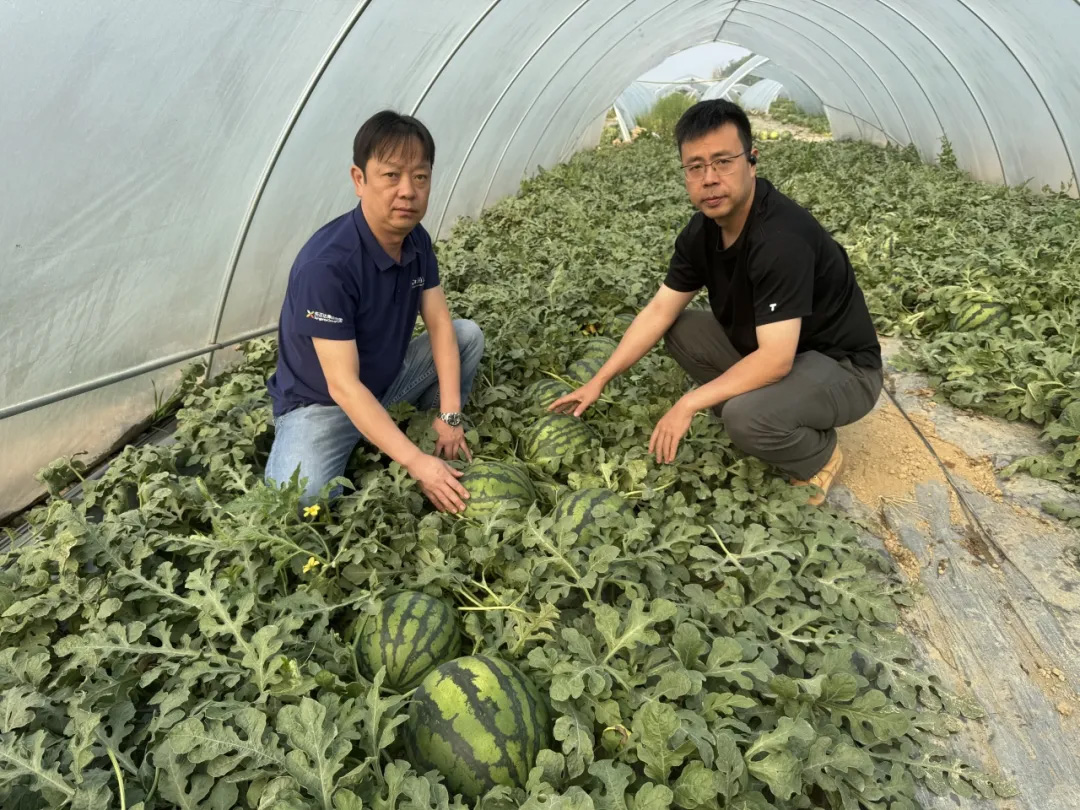 OEŷ��|�ٷ���վ