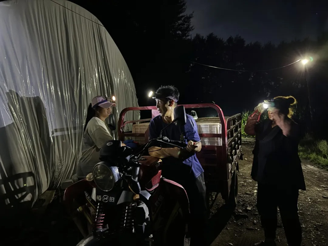 OEŷ��|�ٷ���վ