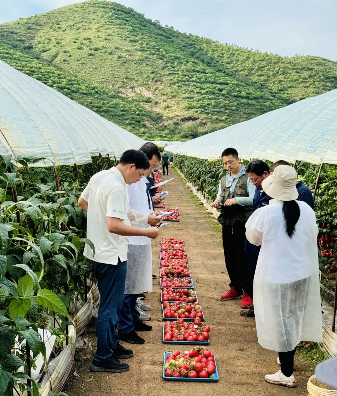 OEŷ��|�ٷ���վ