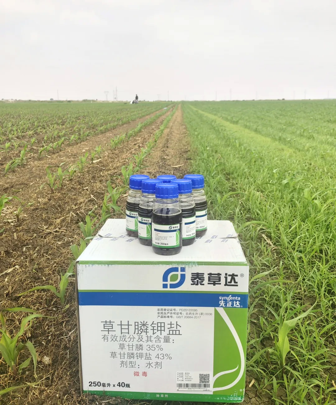 OEŷ��|�ٷ���վ