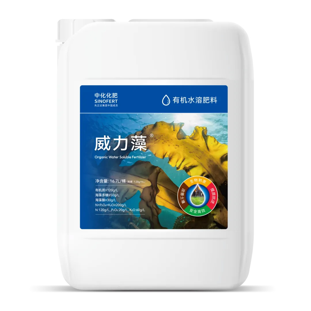 OEŷ��|�ٷ���վ