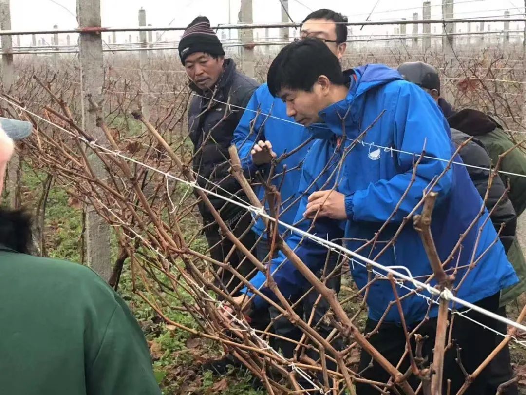 OEŷ��|�ٷ���վ