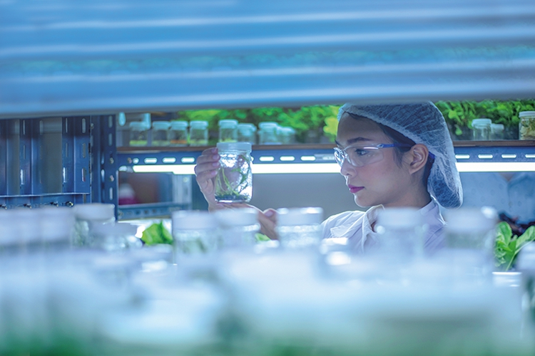 OEŷ��|�ٷ���վ