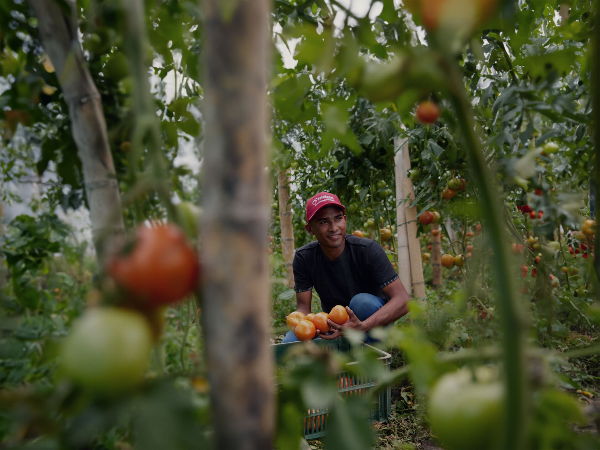 OEŷ��|�ٷ���վ